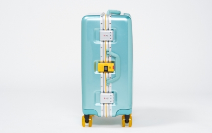 Picture of 20-inch Luggage - Green