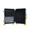 Picture of 20-inch Luggage - Green
